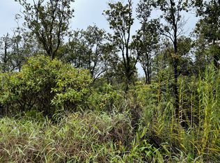 11-2013 Kaleponi Rd LOT 31, Volcano, HI 96785