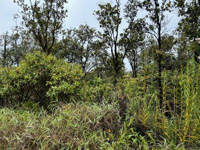 11-2013 Kaleponi Rd Lot 31, Volcano, HI, 96785
