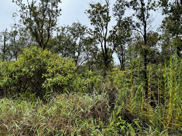 11-2013 Kaleponi Rd Lot 31, Volcano, HI 96785