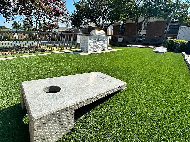 Cornhole Area