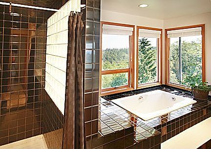 5 piece master bath with views