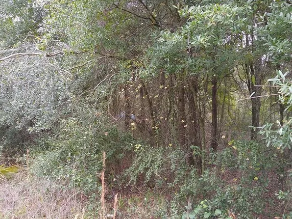 Rolling Meadow Ln, Land O Lakes, FL 34639