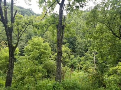 Flower Gap Rd, Blackwater, VA, 24221