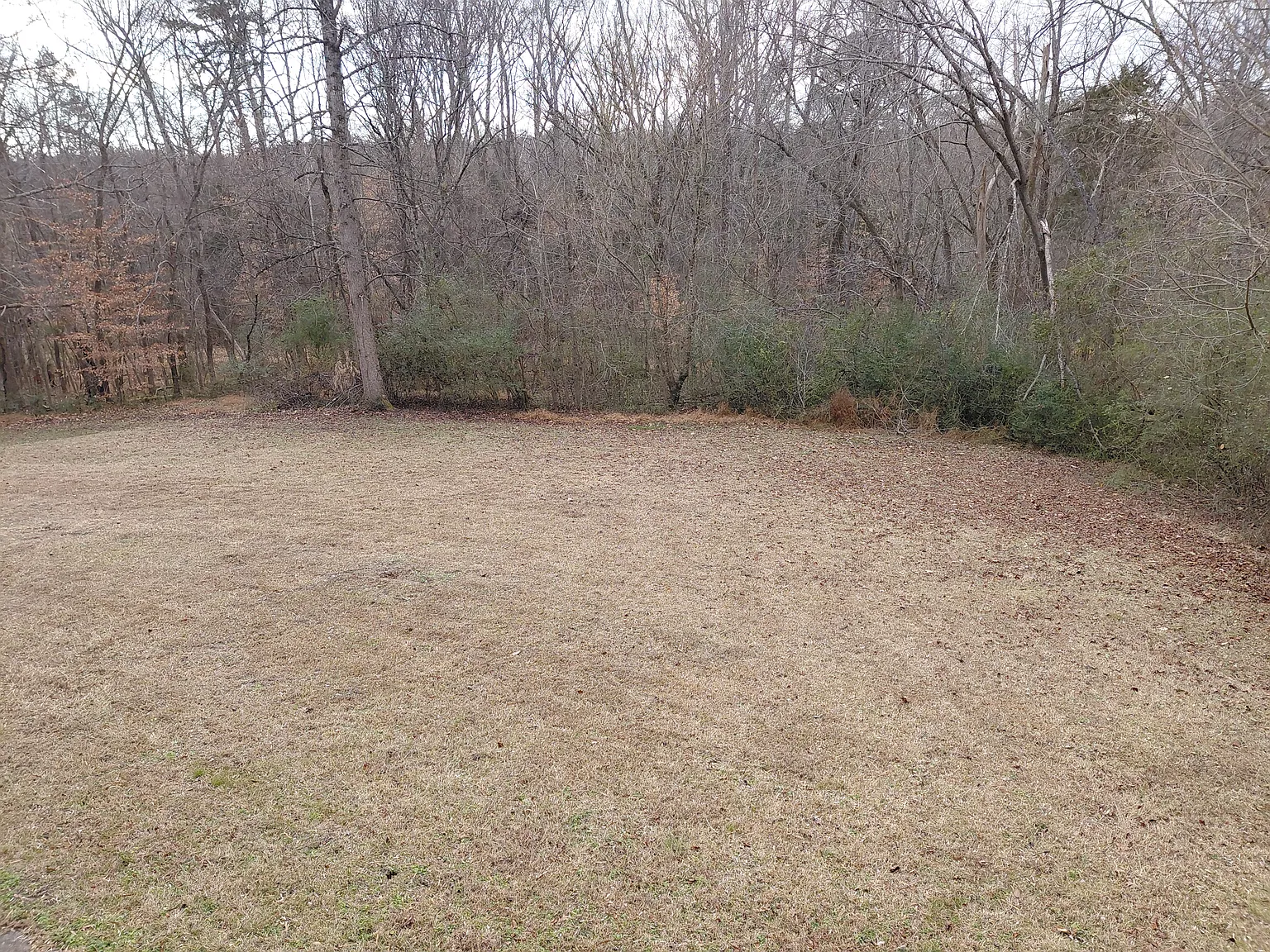 2806 Dodson Dr — Photo 3
