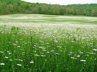 707 Moore Cove Rd, Quebeck, TN 38579