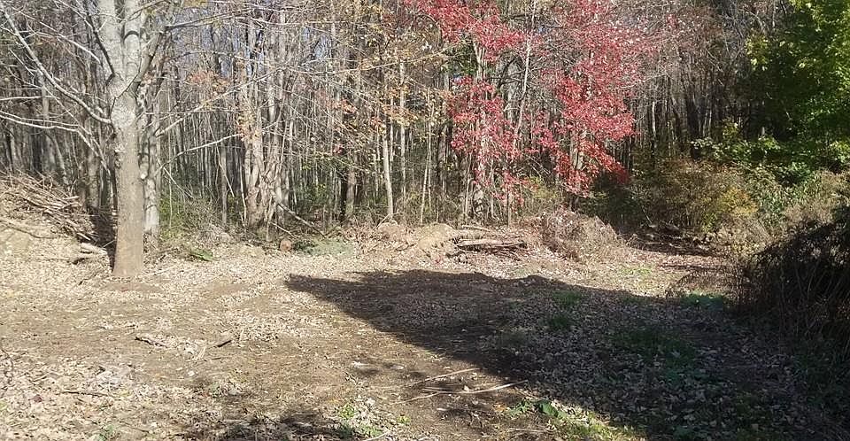 1st image of 14 Blueberry Hill Dr