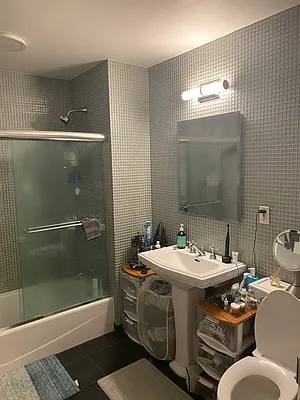 Rented by Next Step Realty New York LLC | media 14