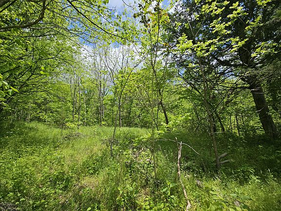 3rd image of 0 Long Creek Rd