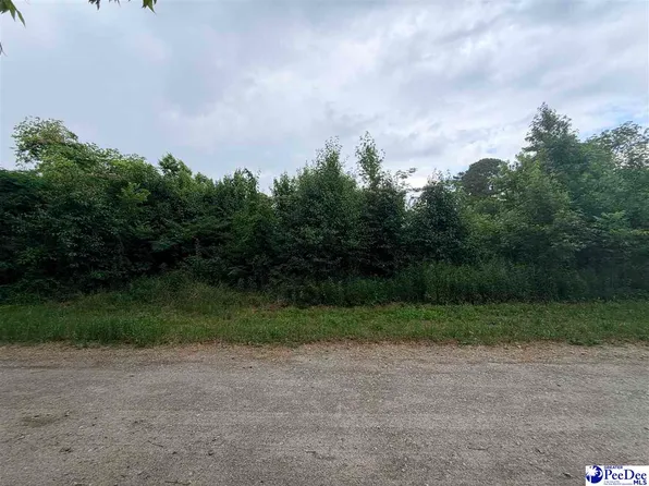 E 4th Ave, Lake View, SC 29563
