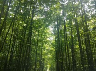 4856 Star Chief Trl, Rapid City, MI 49676