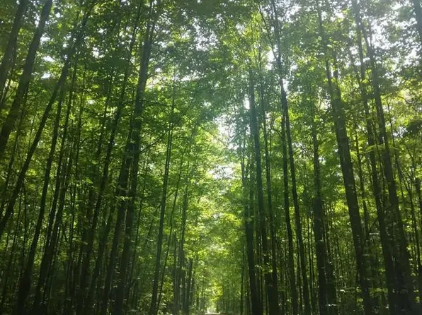 4856 Star Chief Trl, Rapid City, MI 49676