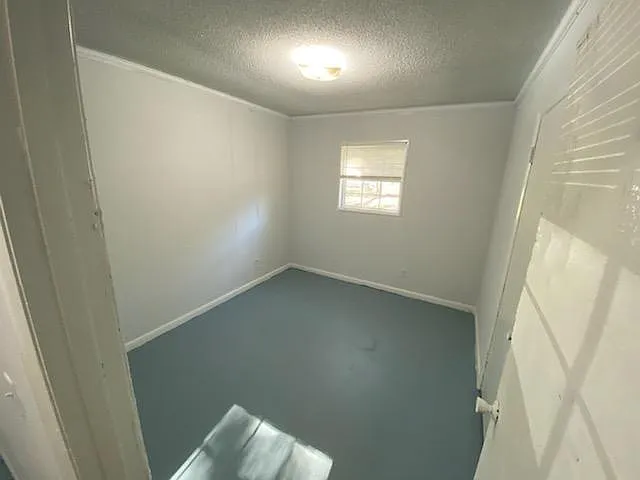 245 Juniper St — Photo 4
