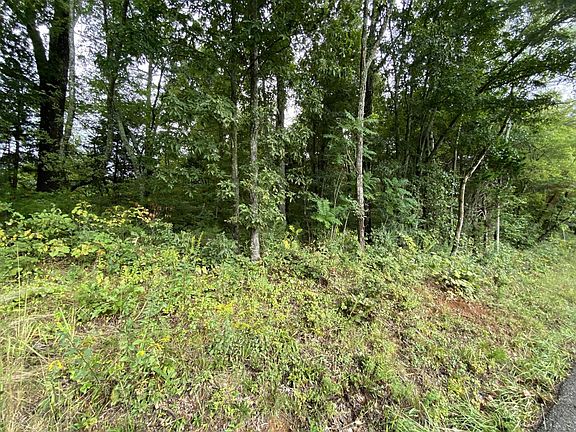 3rd image of 0 Red River Rd