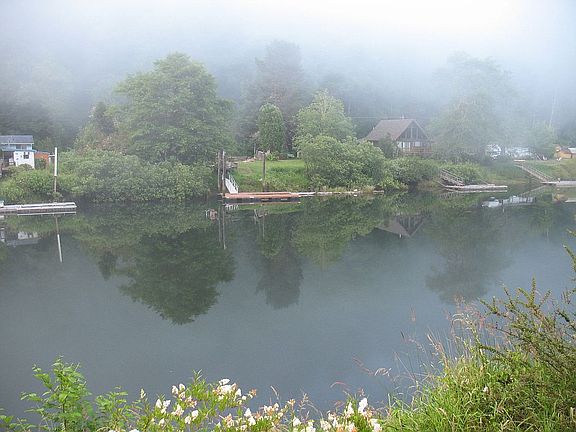 Foggy morning view from the deck