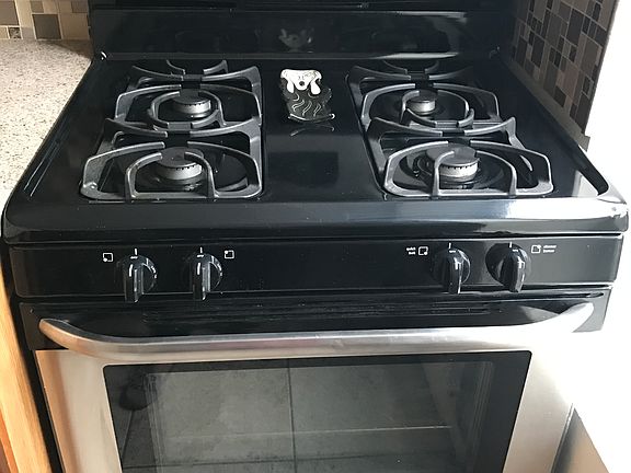 Stainless appliances