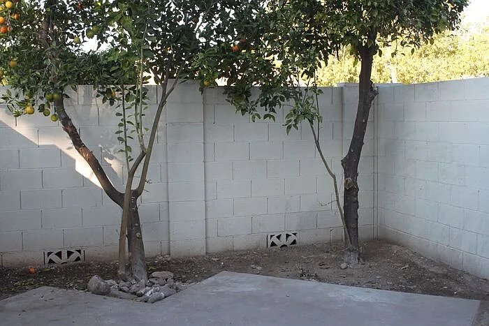 1550 N Stapley Dr #105 — Photo 33