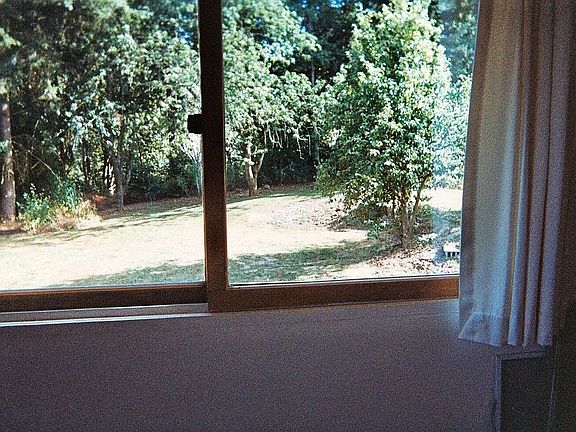 Back yard from Bedroom