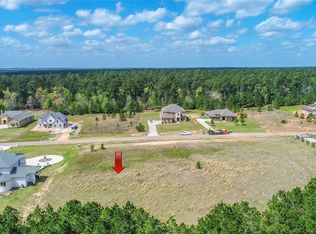 18513 Michaels Run, Montgomery, TX 77316