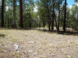 283 S Lookout Trl, Payson, AZ 85541
