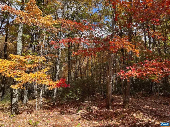 Oakcrest Ln, Nellysford, VA 22958