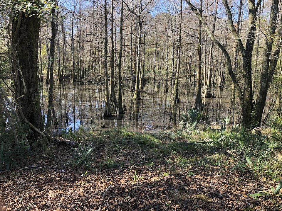 Additional duck hunting opportunities