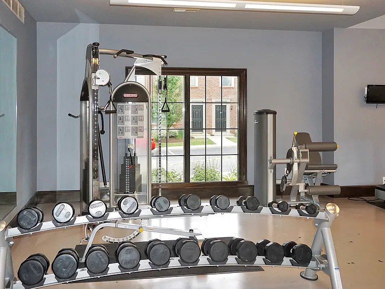 Fitness Center Weights