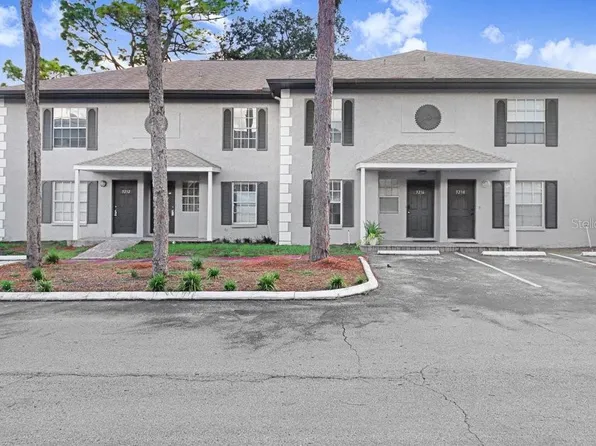 5236 SUNRIDGE PALMS DRIVE #5236, TAMPA, FL 33617