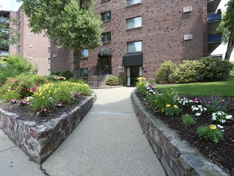 231 Main St #3 — Photo 6