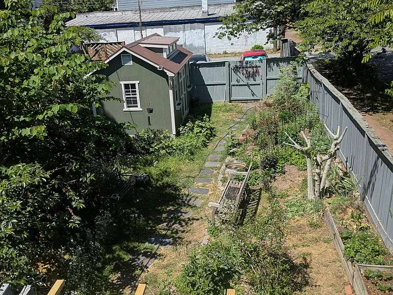 backyard from deck