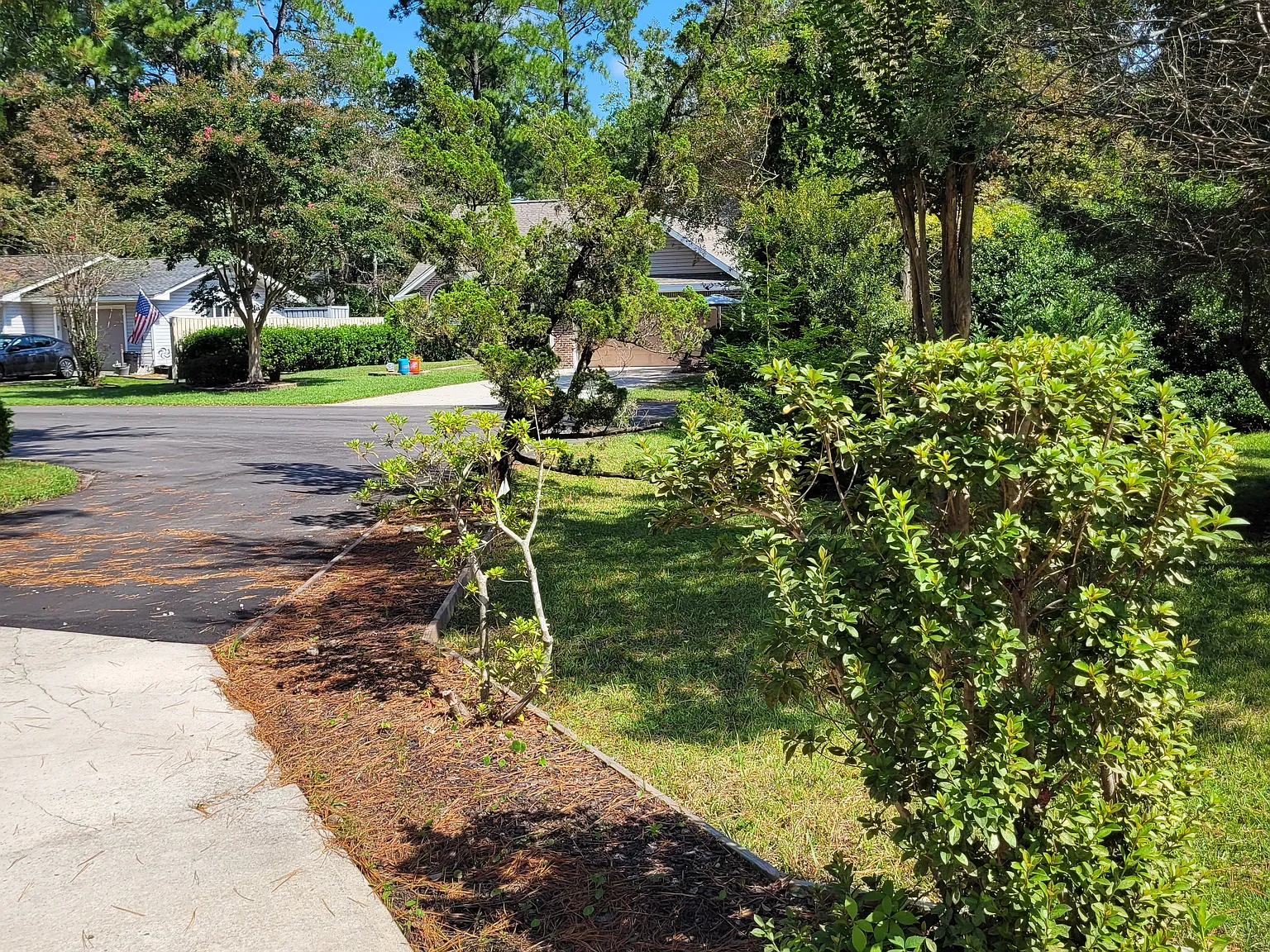 3 bed, 1378 sqft, $1,950 — Photo 2