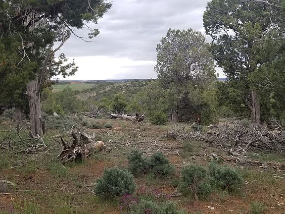 3rd image of 54385 Highway 491