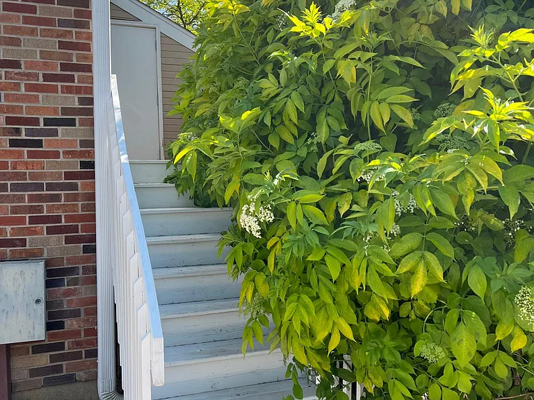 1931 Giltshire Dr — Photo 20