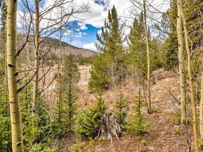 55780 Highway 9, Alma, CO, 80420