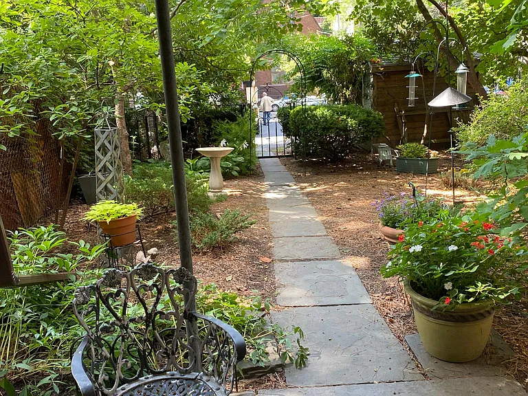 Back Yard and Parking Lot