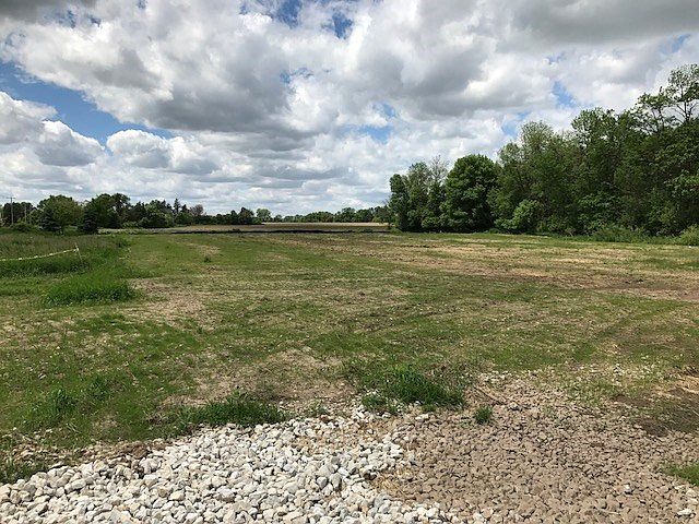 2nd image of L1 Willow Cir