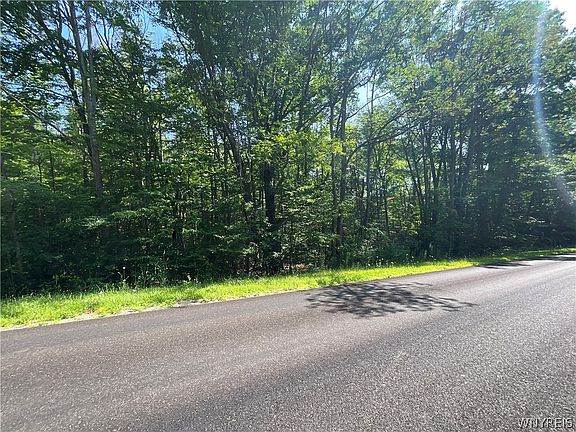 2nd image of County Road 49 #5