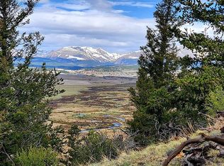 3937 Middle Fork Vis, Fairplay, CO 80440