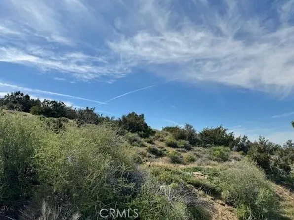 0 Snow Valley Rd, Pinon Hills, CA 92372