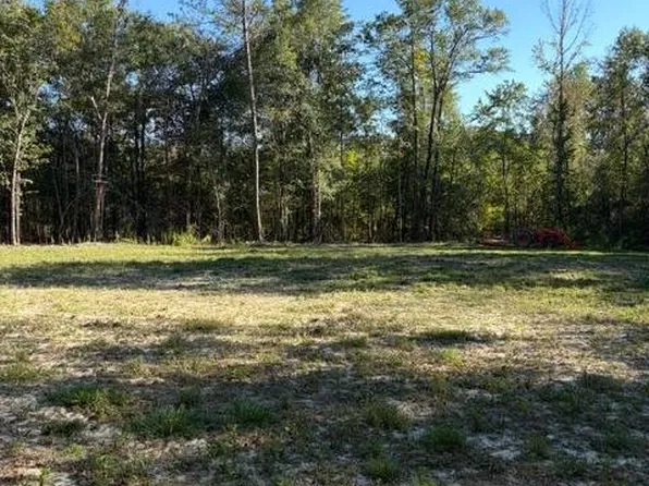 0 Good Hope Rd #9, Dozier, AL 36028
