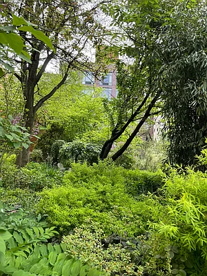 Rented by Jonis Realty | media 11