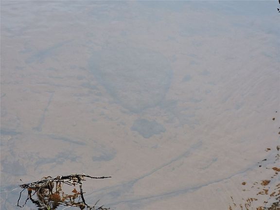 5th image of 43255 Hwy D