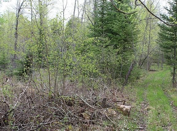 5th image of Tbd County Road 19