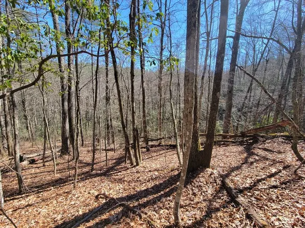 20 Hummingbird Trl, Cullowhee, NC 28723