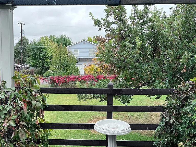 Rear patio over summer