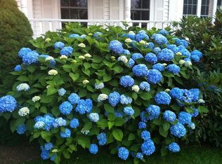 6 Meadow Rd, Westborough, MA 01581