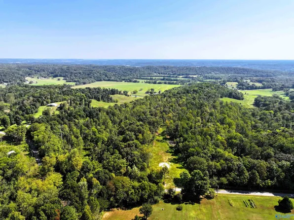 27720 Easter Ferry Rd, Elkmont, AL 35620