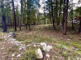 35 Emerson Rd, Mazama, WA 98833
