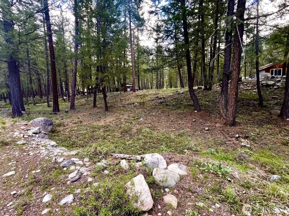 35 Emerson Road, Mazama, WA 98833