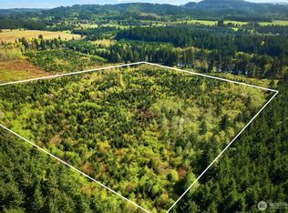 0 40 acres 185th Avenue SE, Tenino, WA 98589