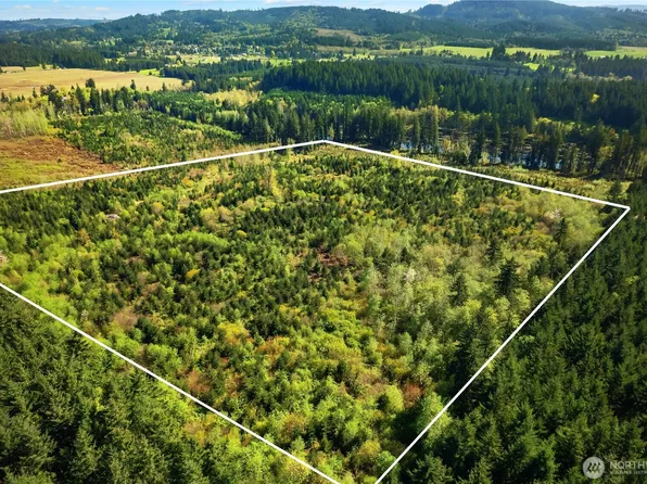 0 40 acres 185th Avenue SE, Tenino, WA 98589
